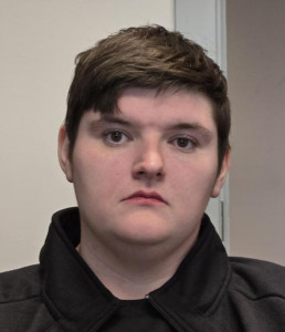 Drew Robert Mellon a registered Sex Offender of Ohio