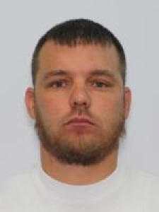 Shawn Ryan Goldshot a registered Sex Offender of Ohio