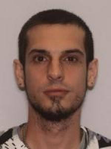 Damon Robert Ross Hafner a registered Sex Offender of Ohio