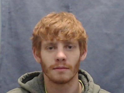 Skylar Matthew Nelson a registered Sex Offender of Ohio