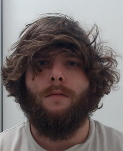 Brandon Lee Weaver a registered Sex Offender of Ohio