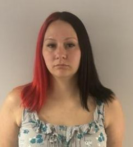 Megan Ann Wilson a registered Sex Offender of Ohio