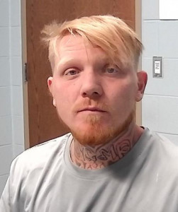 Nicholas Ryan Mcelfresh a registered Sex Offender of Ohio