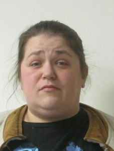 Dixie S Degler a registered Sex Offender of Ohio