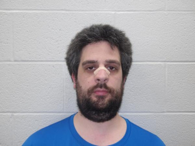 Roman Gabriel Insana a registered Sex Offender of Ohio