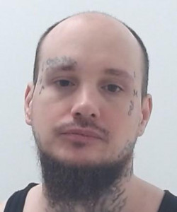 Timmothy Lee Henry a registered Sex Offender of Ohio