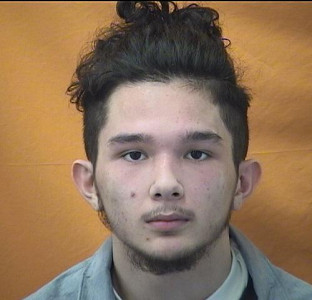 Lannie Gia Pham a registered Sex Offender of Ohio