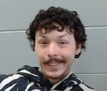 Robert M Pellman a registered Sex Offender of Ohio