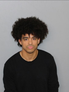 Elver Joel Rosario a registered Sex Offender of New Jersey