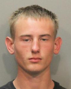 Logan Christopher Veenendaal a registered Sex Offender of Colorado