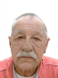 Gary Vincent Ledman a registered Sex Offender of Arizona