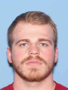 Dyllon Frederick Depalma a registered Sex Offender of Arizona