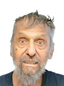 David Eliezer Lipman a registered Sex Offender of Arizona