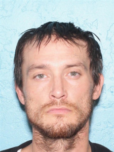 Brandon Lee Anderson a registered Sex Offender of Arizona