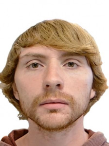 Devin Lloyd Belver a registered Sex Offender of Arizona