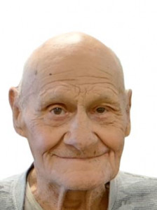 Delbert Allen Lambson a registered Sex Offender of Arizona
