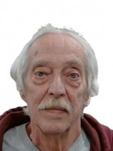 Ronald Allen Mcluen Sr a registered Sex Offender of Arizona