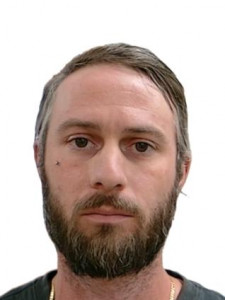 Louis Anthony Panzica a registered Sex Offender of Arizona