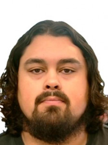 Henry Michael Hanson a registered Sex Offender of Arizona