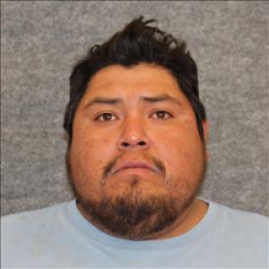 Larry August Puella a registered Sex Offender of Arizona