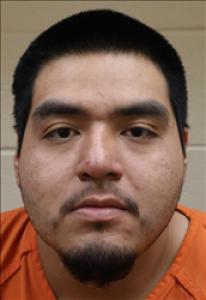 Ryan Delson Pratt a registered Sex Offender of Arizona
