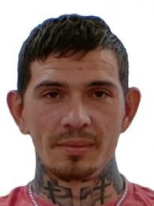 Harley James Gann a registered Sex Offender of Arizona