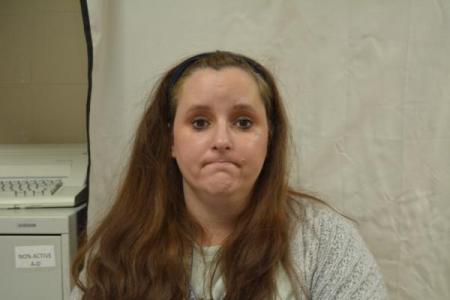 Amiee Danielle Elizabeth Stout a registered Sex or Violent Offender of Indiana