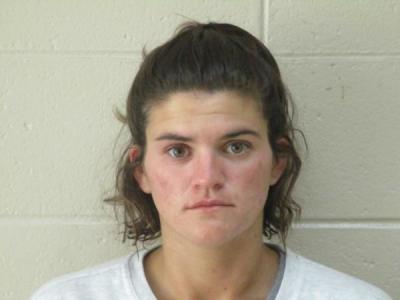 Ashleigh Nichole Wise a registered Sex or Violent Offender of Indiana