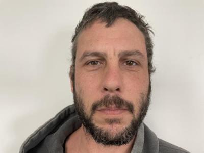 Michael Steven Hasik a registered Sex or Violent Offender of Indiana