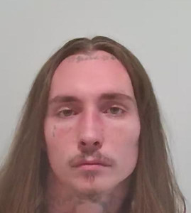 Tyler Lee Adkins a registered Sex or Violent Offender of Indiana
