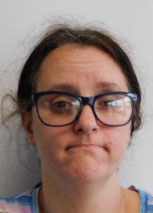 Amiee Danielle Elizabeth Stout a registered Sex or Violent Offender of Indiana