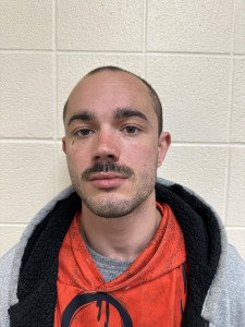 Damian M Collins a registered Sex or Violent Offender of Indiana