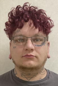 Alan Jonathon Dilts a registered Sex or Violent Offender of Indiana