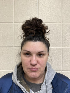 Tara Dawn Snawder a registered Sex or Violent Offender of Indiana