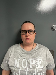 Amanda N Meyer a registered Sex or Violent Offender of Indiana