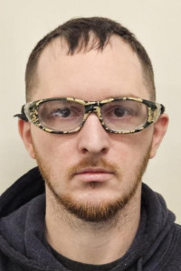 Lewis Morton Reed a registered Sex or Violent Offender of Indiana