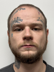 Devin James Ferguson a registered Sex or Violent Offender of Indiana