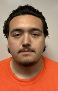 Brian Levi Surgenor a registered Sex or Violent Offender of Indiana