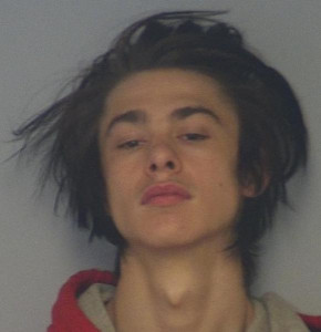 Wesley S Stevens a registered Sex or Violent Offender of Indiana