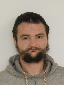 Aaron Wayne Birdwell a registered Sex or Violent Offender of Indiana