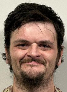 Logan Marshall Abell a registered Sex or Violent Offender of Indiana