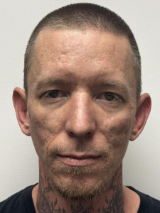 Christopher L Bournique a registered Sex or Violent Offender of Indiana