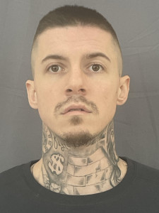 Michael S Woodland a registered Sex or Violent Offender of Indiana