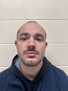 Damian M Collins a registered Sex or Violent Offender of Indiana