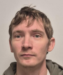 Brandon William Deiser a registered Sex or Violent Offender of Indiana