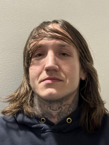 Ace H Holstein a registered Sex or Violent Offender of Indiana