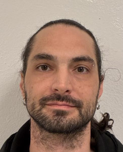 Ernest Louis Dingler IV a registered Sex or Violent Offender of Indiana