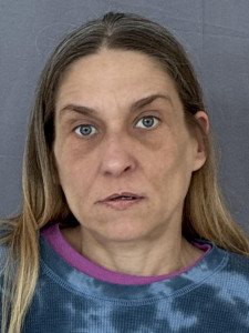 Sheryl Diane Greenman a registered Sex or Violent Offender of Indiana