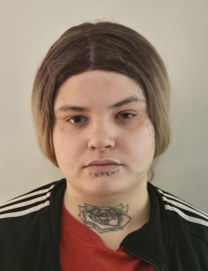 Elani Renee Hines a registered Sex or Violent Offender of Indiana
