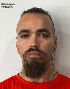 Jacob Trevor Delong a registered Sex or Violent Offender of Indiana
